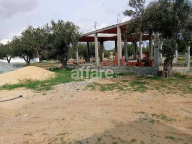 Terrain a vendre barekt sahel