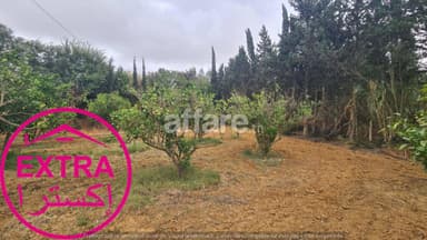 À VENDRE TERRAIN AGRICOLE À GHARDAIA NABEUL