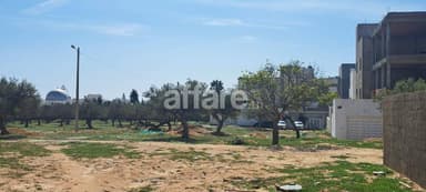 Un beau terrain de 220m² a mrezga