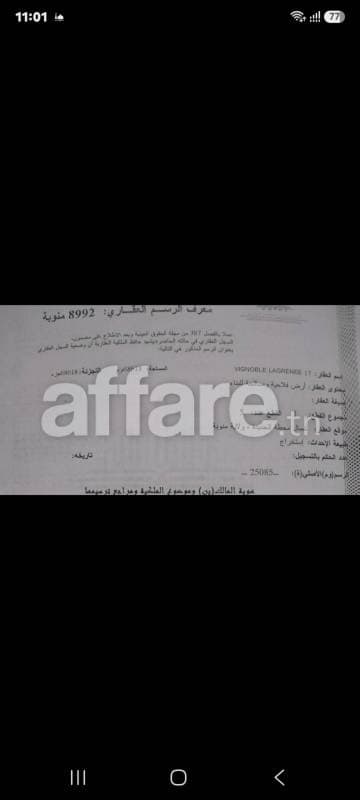 نبيع ولا نبدل 