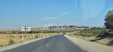 Hectare sidi jdidi hamammet