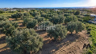 Terrain Agricole 4 002 m² Cité Mora Nabeul