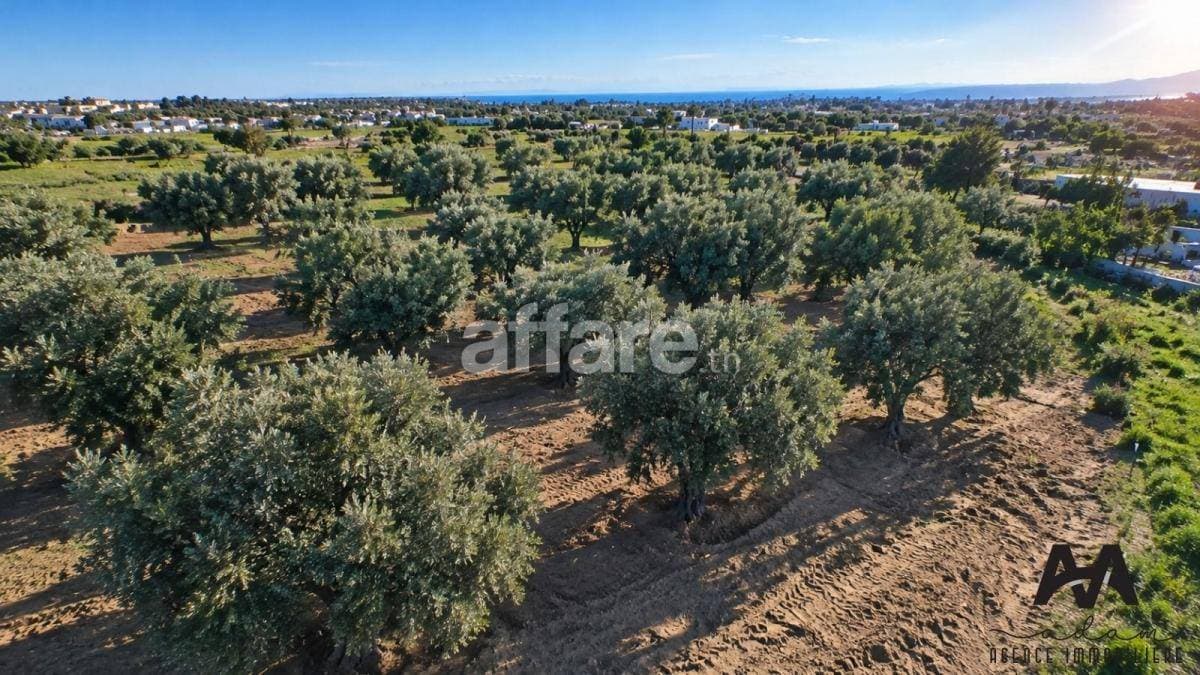 Terrain Agricole 4 002 m² Cité Mora Nabeul