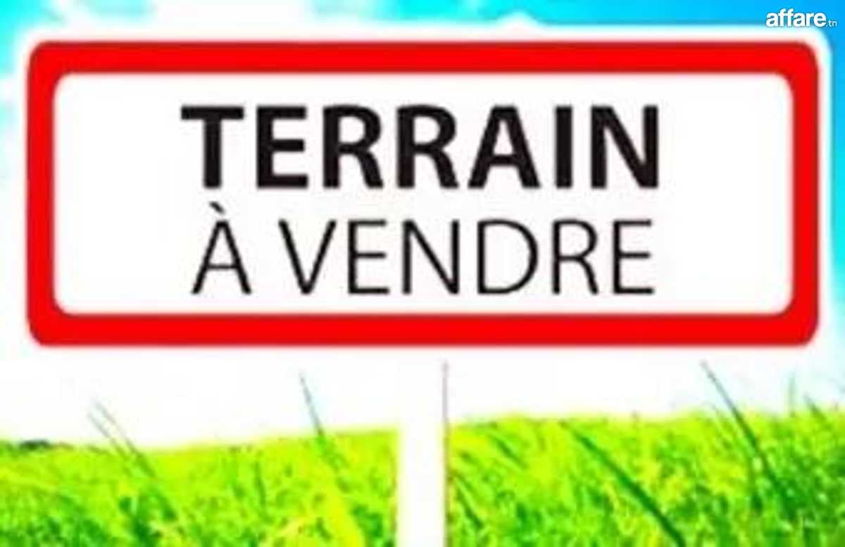 Terrain hammam lif 1000m²