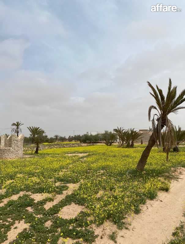 Villa et houch arbi sur terrain 5000 mètre à Djerba