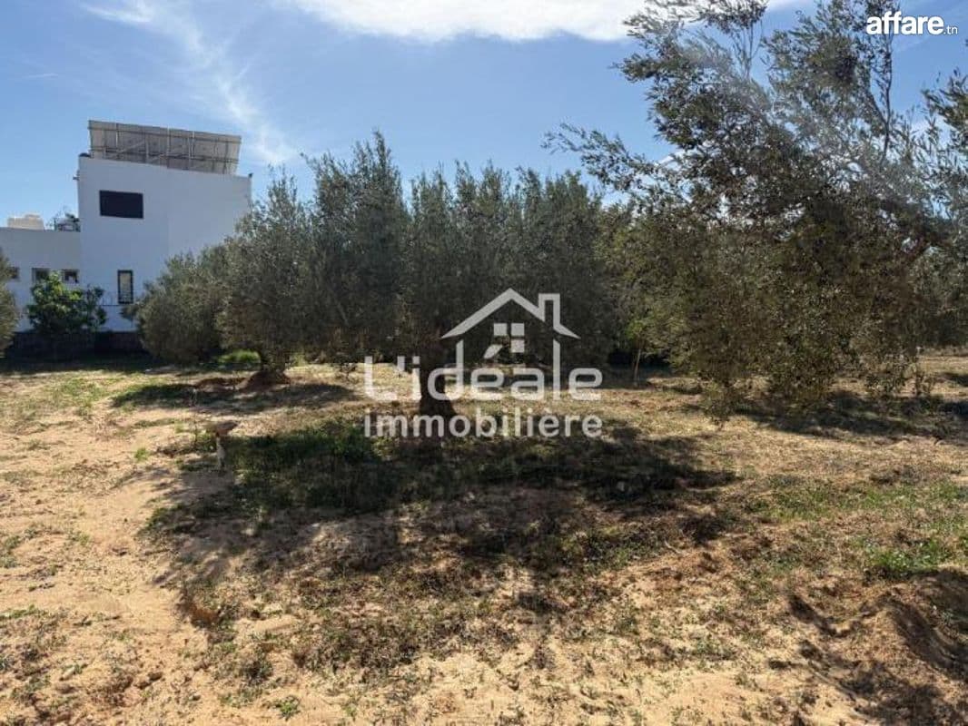  Terrain Aziz – Hammamet Nord