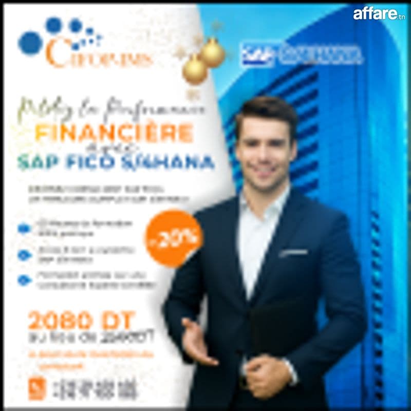 SAP FICO S4/HANA