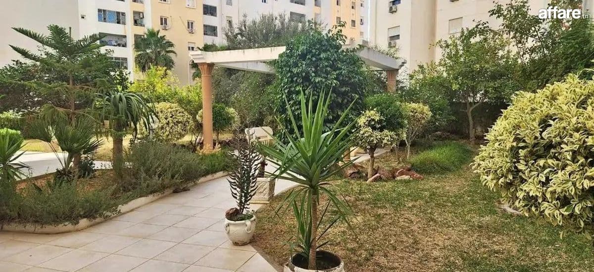 Location S2 vide à Cité Les Palmiers 
