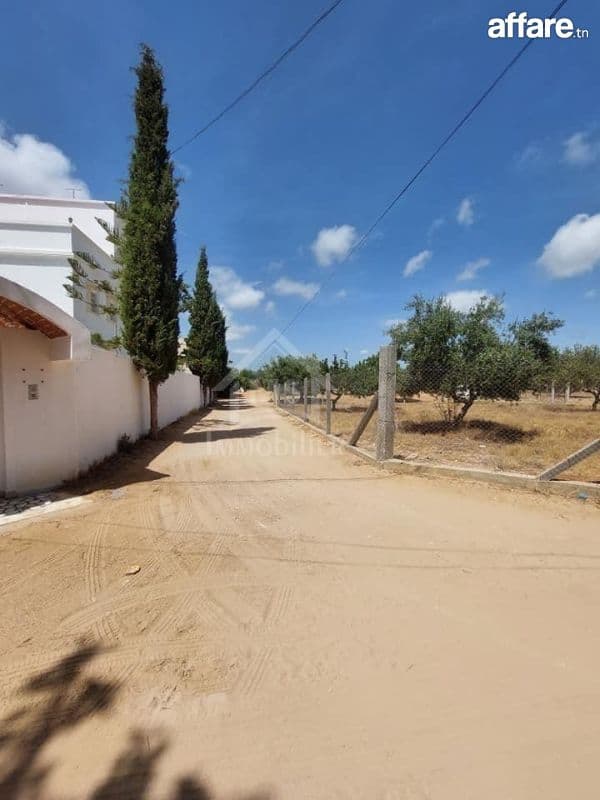Terrain viabilisé de 600 m² à vendre à Hammamet 51355351