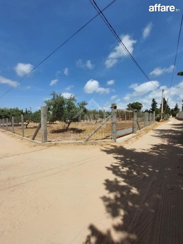 Terrain viabilisé de 600 m² à vendre à Hammamet 51355351