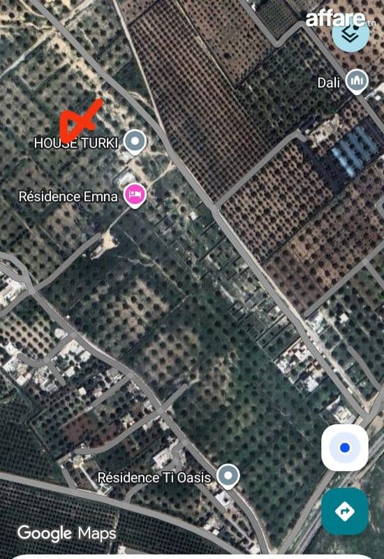 Terrain 2000 M2 Douikhla hammamet en totalié ou en partie 