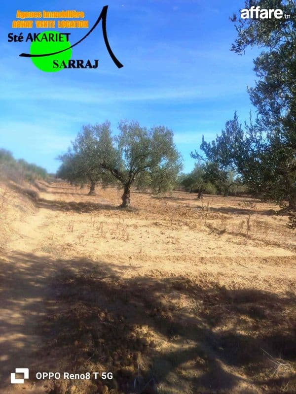 #A VENDRE #Senia #Clôturé [#3300m²]#Kalaa Sghira #Oued Laya