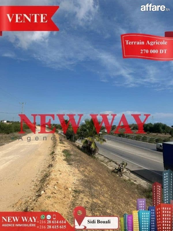 Terrain Agricole à Sidi Bouali près de l'autoroute et GP1