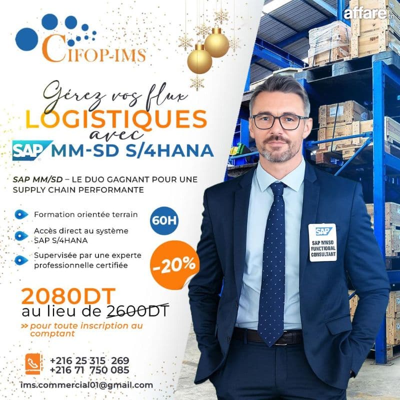 Formation SAP MM / SD et SAP FICO
