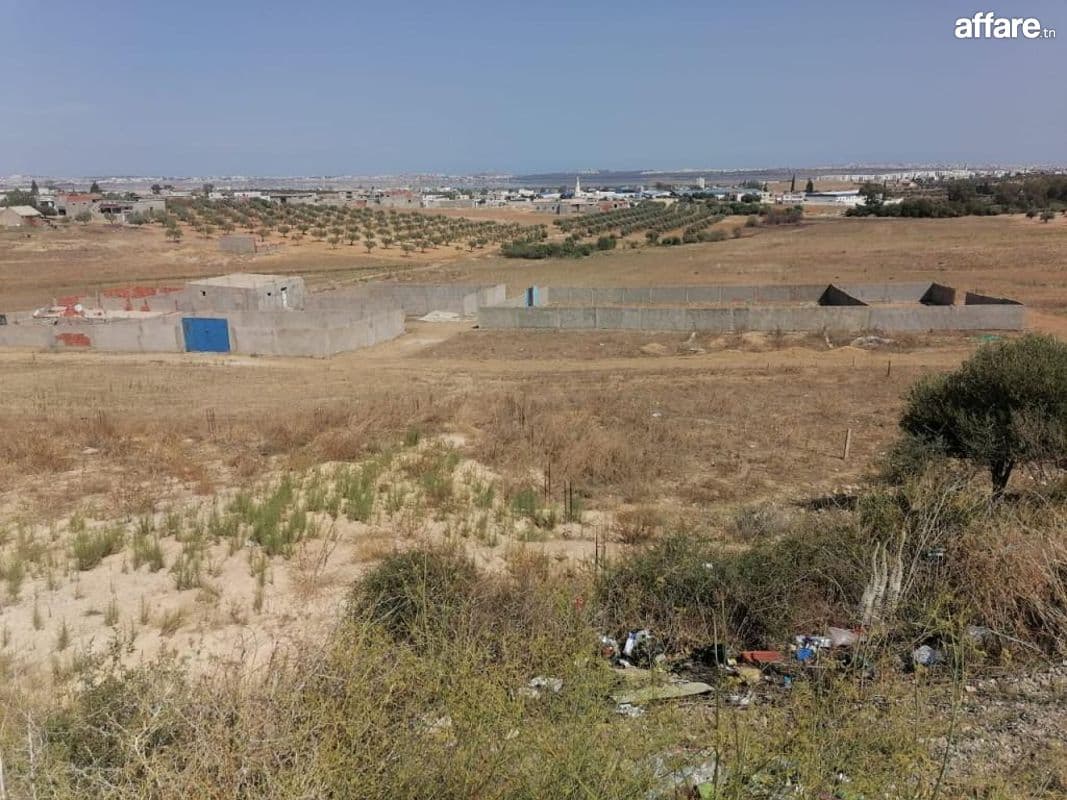 À vendre 4 lots de terrains clôturés à Lahouij Birini – Sidi