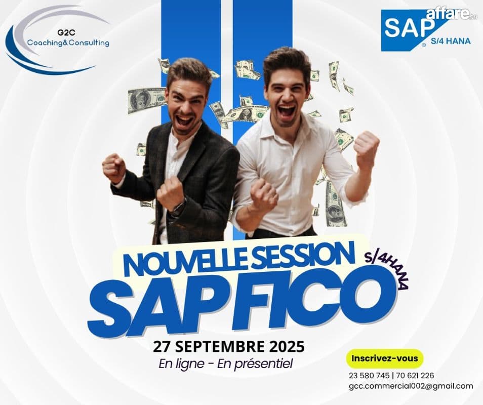 Formation SAP FICO 