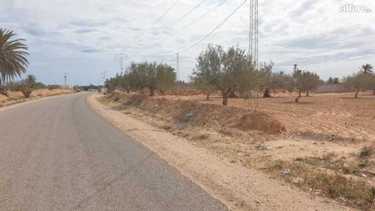 TERRAIN 2 658 M SUR ROUTE EL MAY  4175 DJERBA  