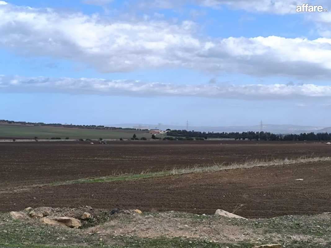 TERRAIN TITRE FONCIER