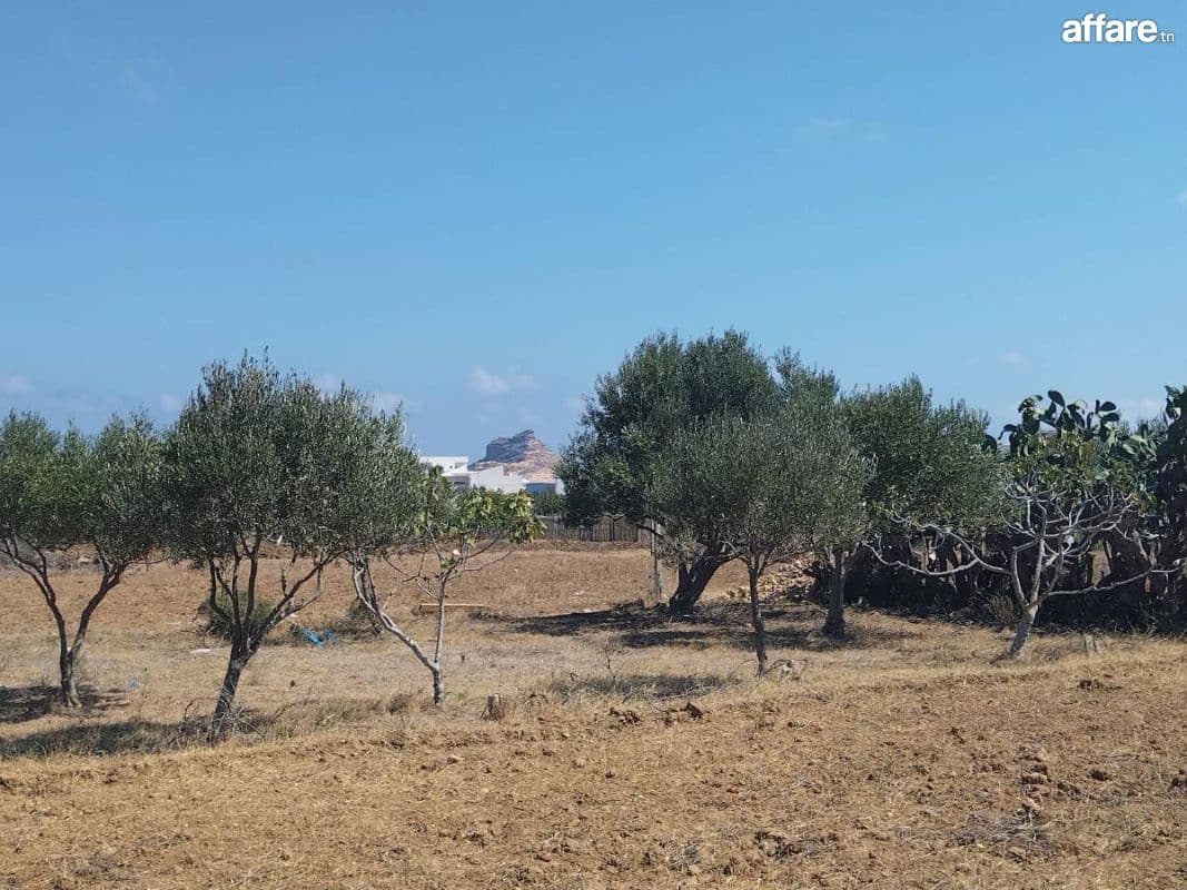 Terrain à RAFRAF Plage 60 M2