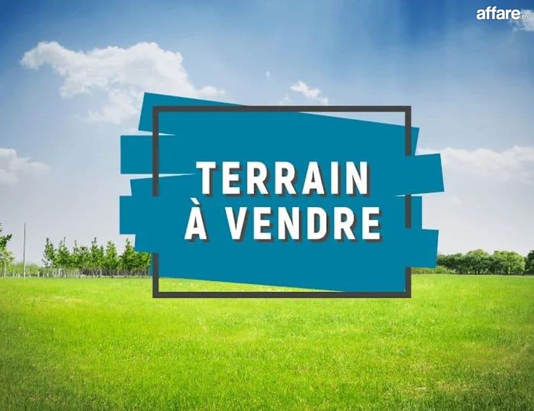Terrain Sud T002