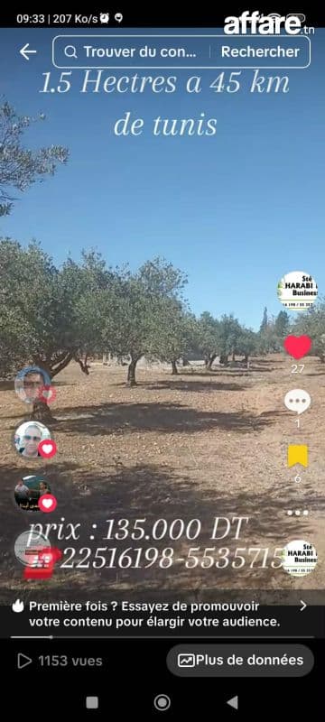  Un hectare et demi avec d'oliviers 