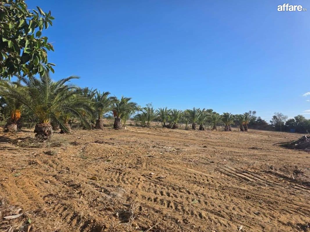🌊Terrain Avec Vue Mer En Vente | Gandouz Hergla