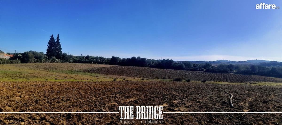 Terrain Agricole de nu 13 977 m² à Bou Argoub