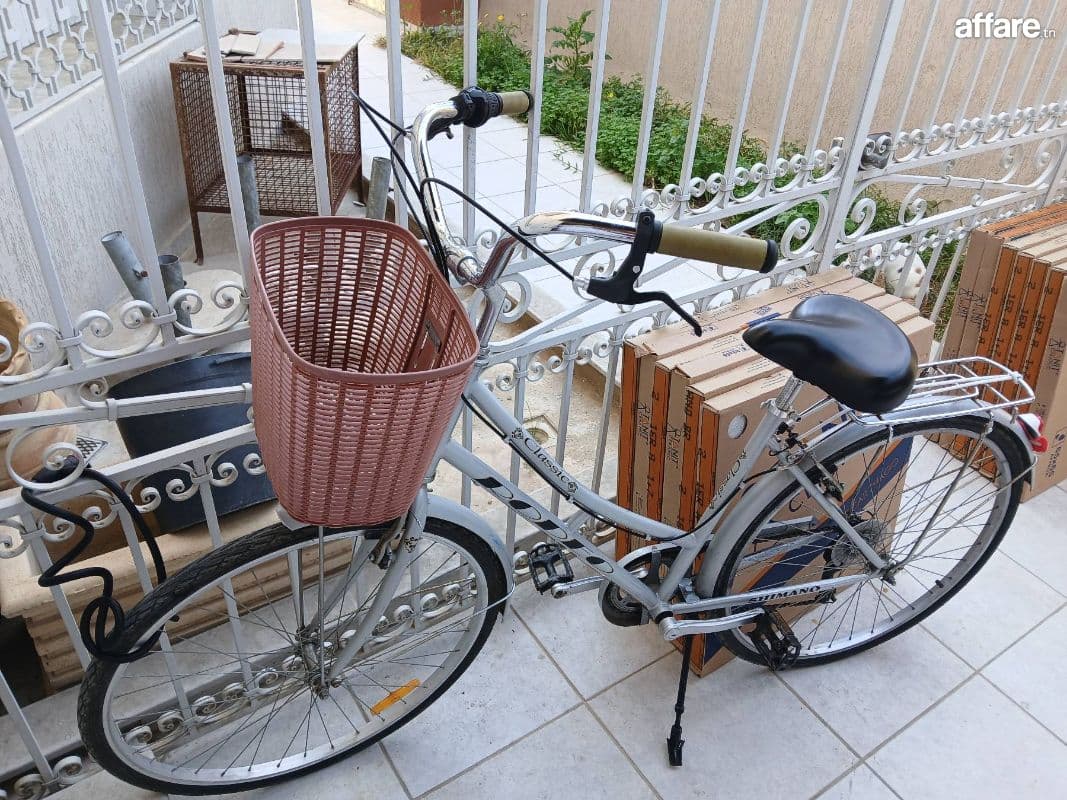 Bicyclette chic