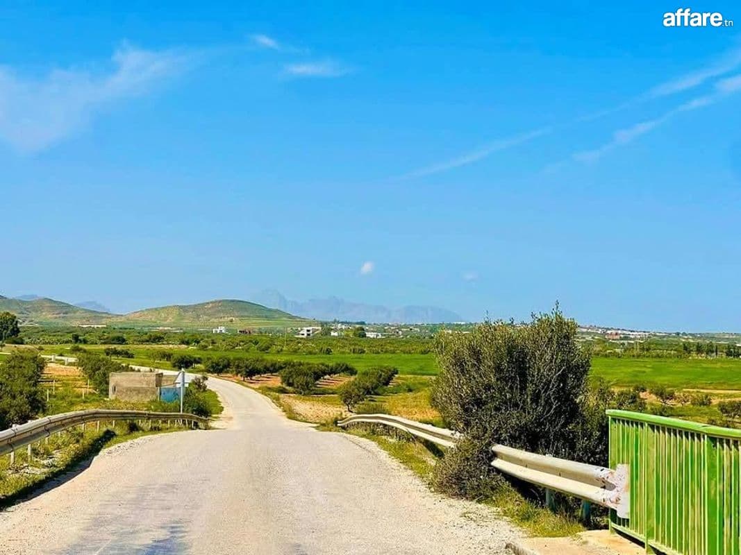 Opportunité des terrains a vendre Bouficha Sousse