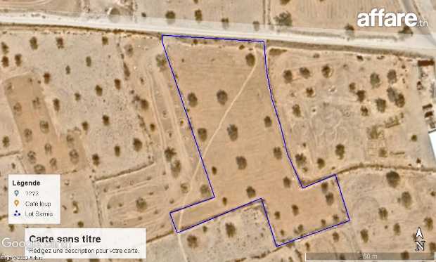 A vendre un terrain de 4235 m2 à Djerba - Jaabira - Groua ال