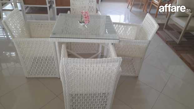 Table et 4 fauteuils de jardin couleur blanc