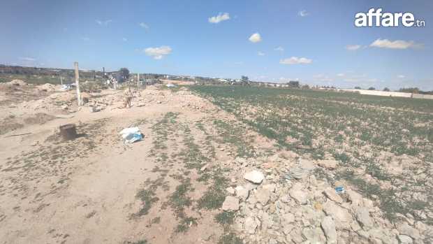 Vente d'un terrain agricole à El Maamoura Plage