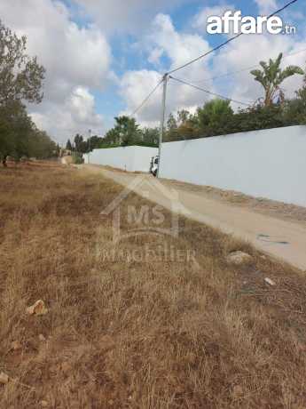 Terrain clôturé de 1253 m² à vendre à Hammamet Sud 51355351