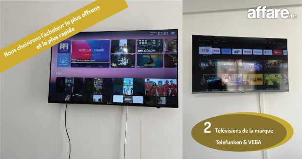 2 Télévisions de la marque Telefunken & VEGA