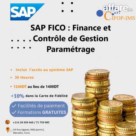 Formation en SAP Fico Paramétrage 