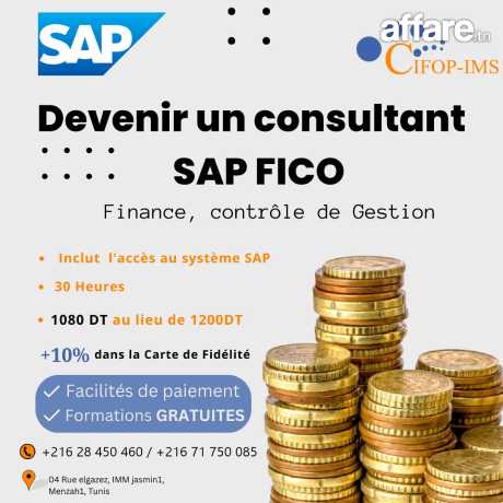 Formation SAP Fico