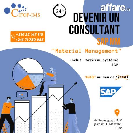 Formation SAP MM : Material Management 