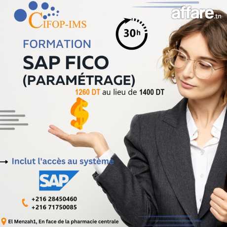 Formation SAP Fico Paramétrage 