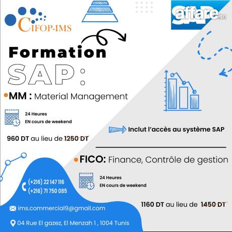 Formation SAP FICO / SAP MM