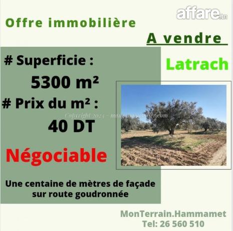 Terrain Arboré Latrach Hammamet Mango VT2303