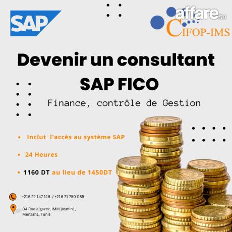 Formation Consultant SAP FICO: Finance & Contrôle de Gestion