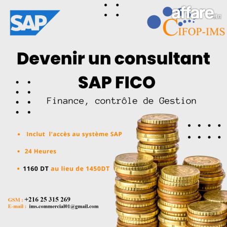 Formation SAP MM / FICO 