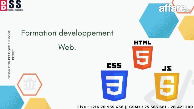  formation développement web