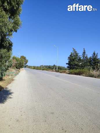 un terrain sur la route principale kélébia _hammem el ghazez