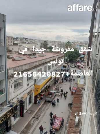 شقة مفروشة جيدا في تونس العاصمة باليوم 